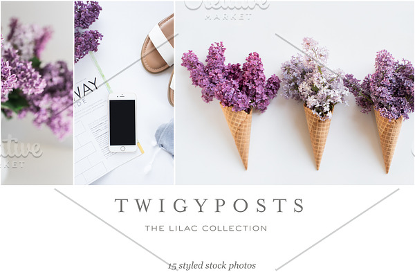 Spring Lilac Stock Photos
