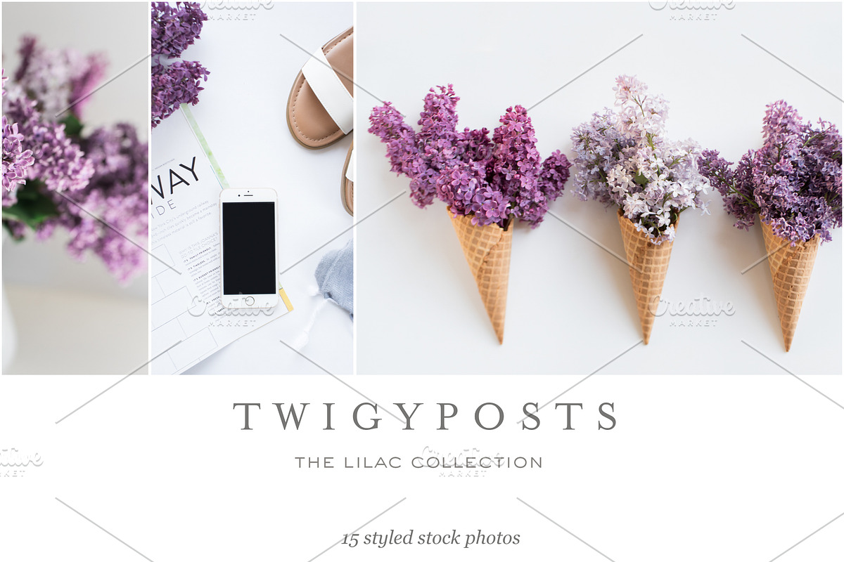 Spring Lilac Stock Photos in Instagram Templates - product preview 8