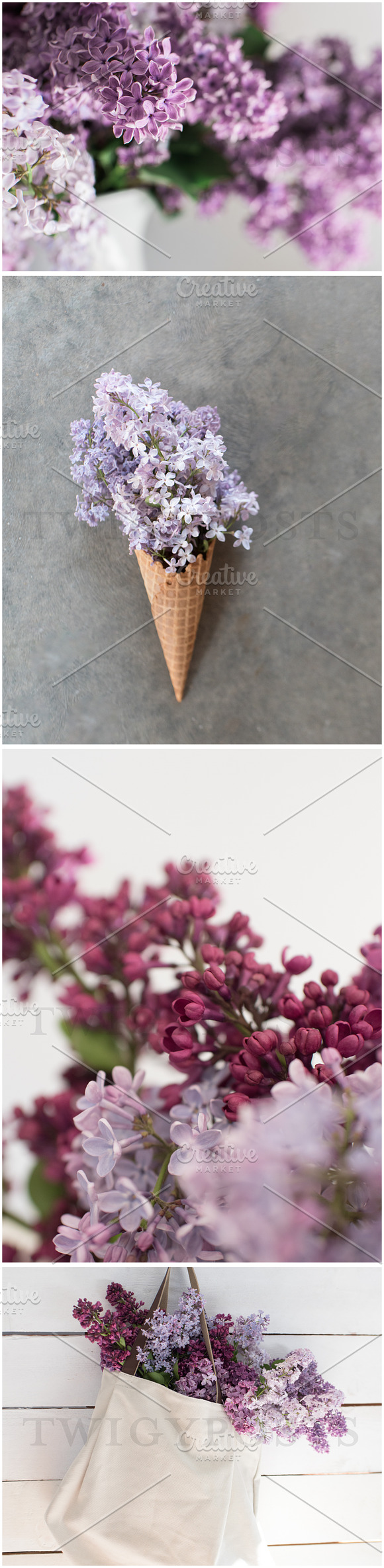 Spring Lilac Stock Photos in Instagram Templates - product preview 1