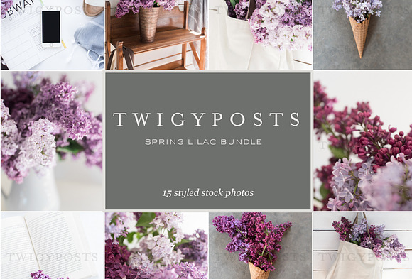 Spring Lilac Stock Photos in Instagram Templates - product preview 6