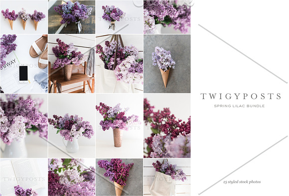 Spring Lilac Stock Photos in Instagram Templates - product preview 7