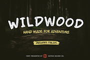 Wildwood Dry Brush Lettering Font