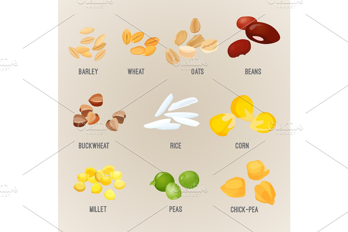 Cereals piles of types colorful flat vector poster in Illustrations - product preview 8
