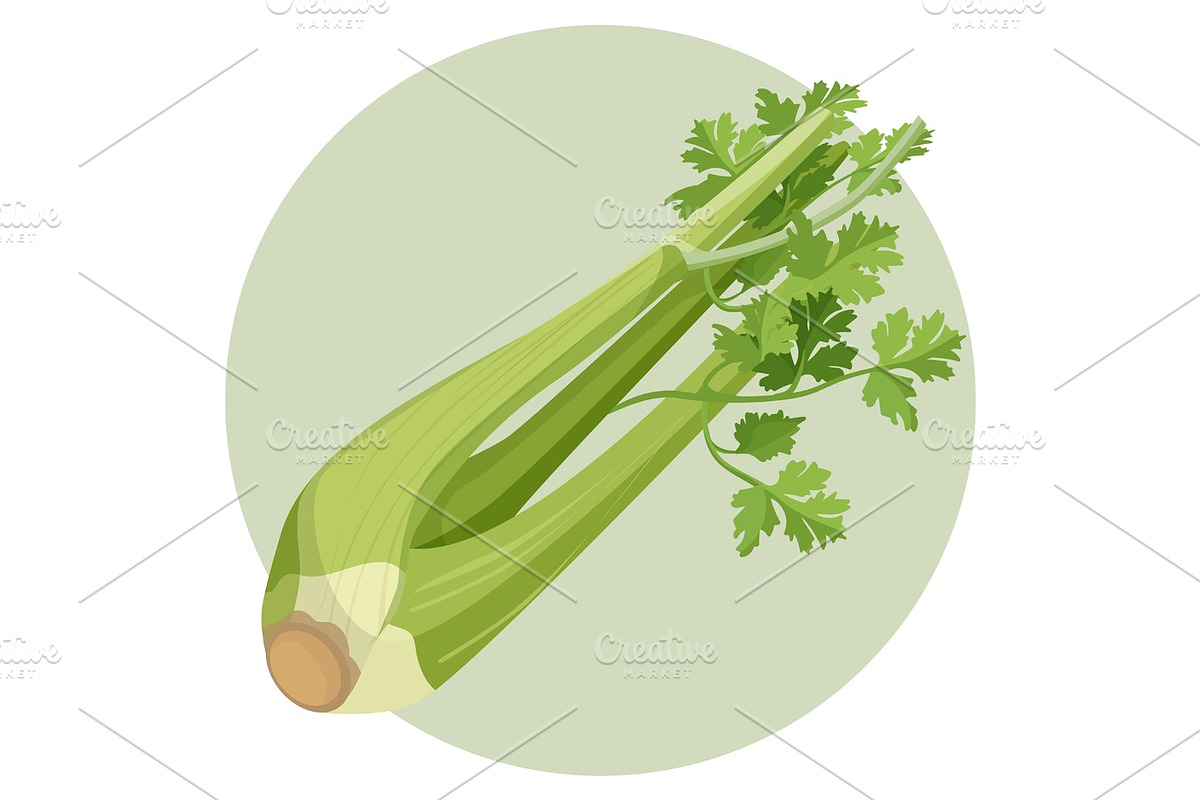 Celery green and fresh isolated in circle on white in Illustrations - product preview 8