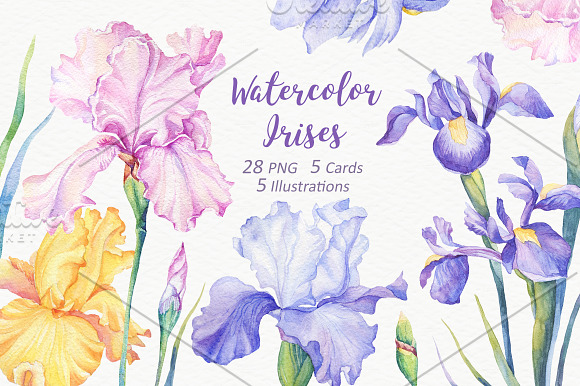 -90%OFF Watercolor Bundle in Illustrations - product preview 1