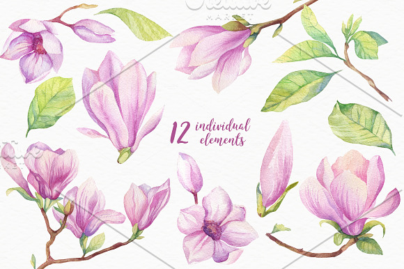 -90%OFF Watercolor Bundle in Illustrations - product preview 8
