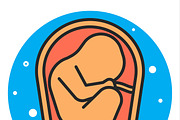 Fetus icon. illustration