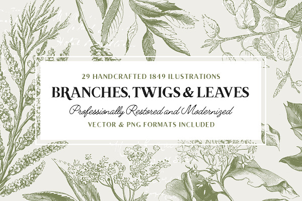 29 Branches, Twigs & Leaves (+Bonus)