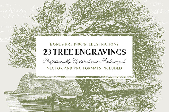 29 Branches, Twigs & Leaves (+Bonus) in Illustrations - product preview 2