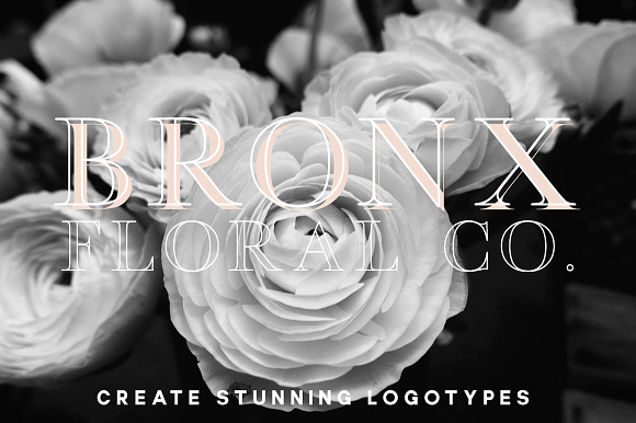 Bronx | An Extension for Manhattan in Serif Fonts - product preview 3