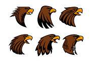 Sport team eagle or hawk bird head vecor mascot