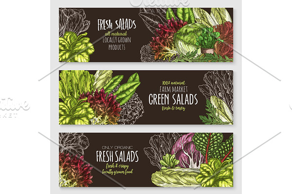 Salads and leafy vegetables vector banners set