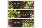 Salads and leafy vegetables vector banners set