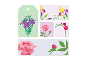 Cartoon petal vintage floral vector bouquet garden summer floral greeting card spring blossom.