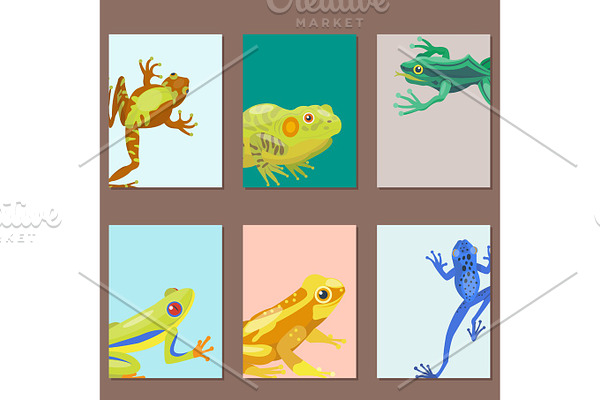 Frog cartoon tropical animal cartoon nature cards vector illustration.