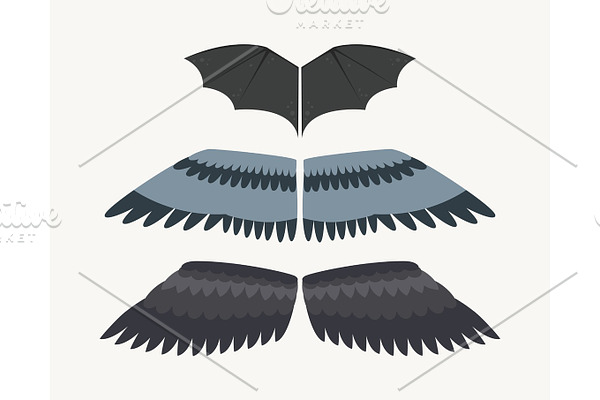 Wings isolated animal feather pinion bird freedom flight and natural hawk life peace design flying element eagle winged side shape vector illustration.