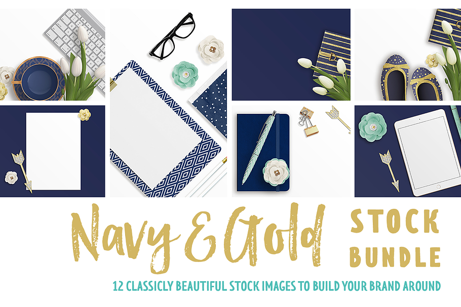Navy & Gold Stock Bundle