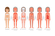 Woman Anatomy System and Structure of Human Body