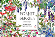 Forest Berries
