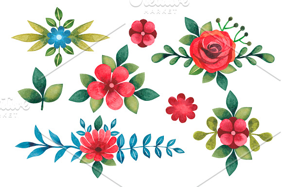 Watercolor flower collection in Illustrations - product preview 1