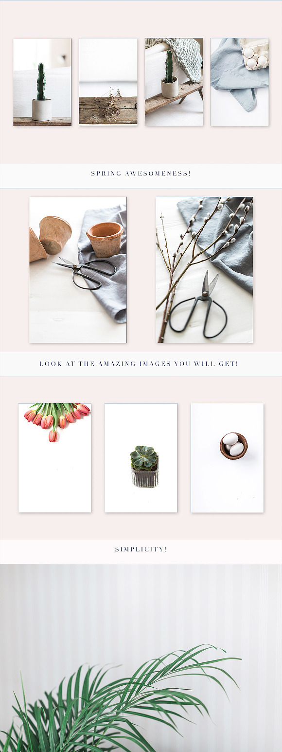 Spring Series stock photos in Product Mockups - product preview 6