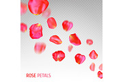 A lot of falling red rose petals on transparent background.