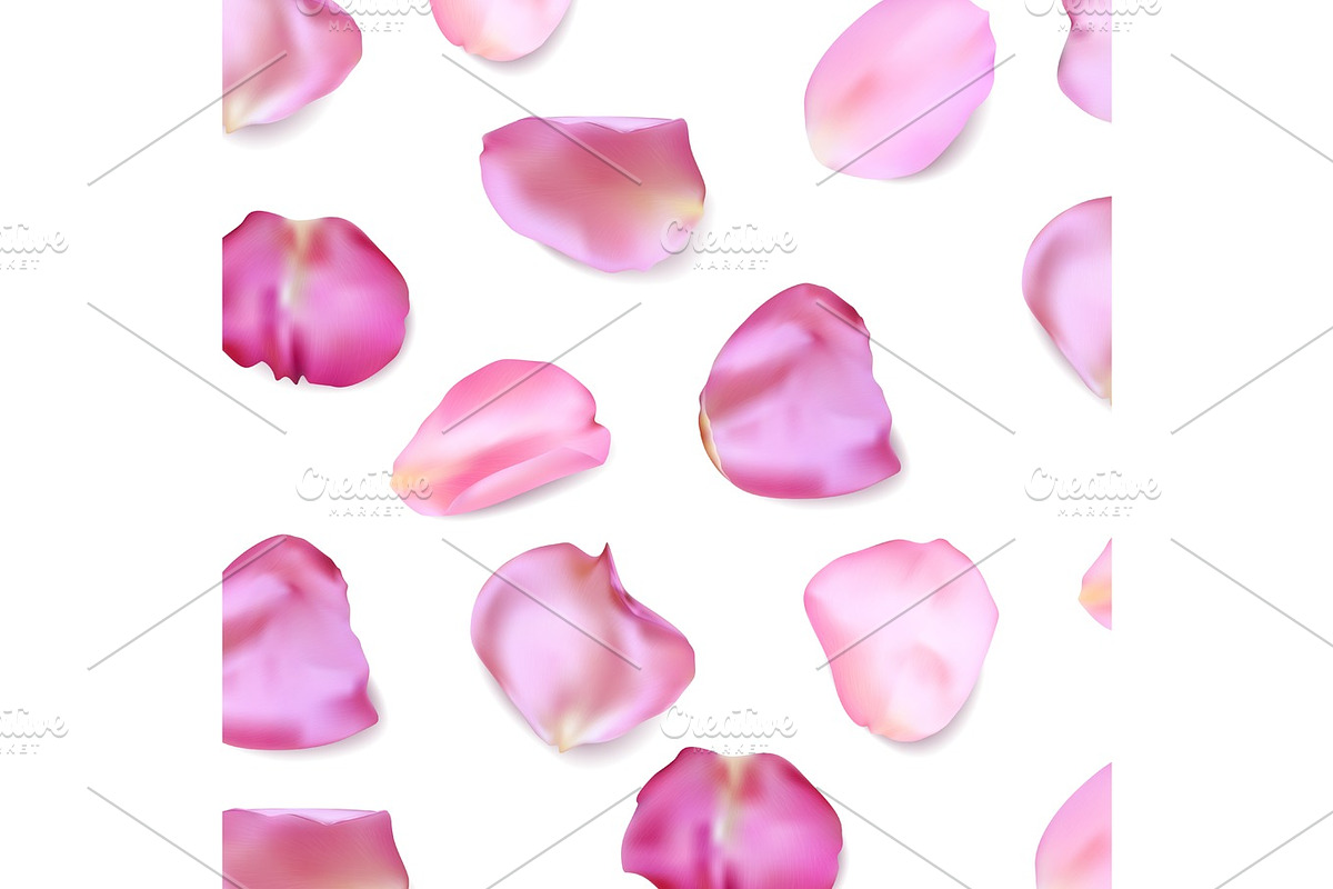 Pink rose petals. Realistic vector illustration in Illustrations - product preview 8
