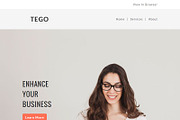 Tego - Responsive Email Template