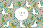 Tropical set