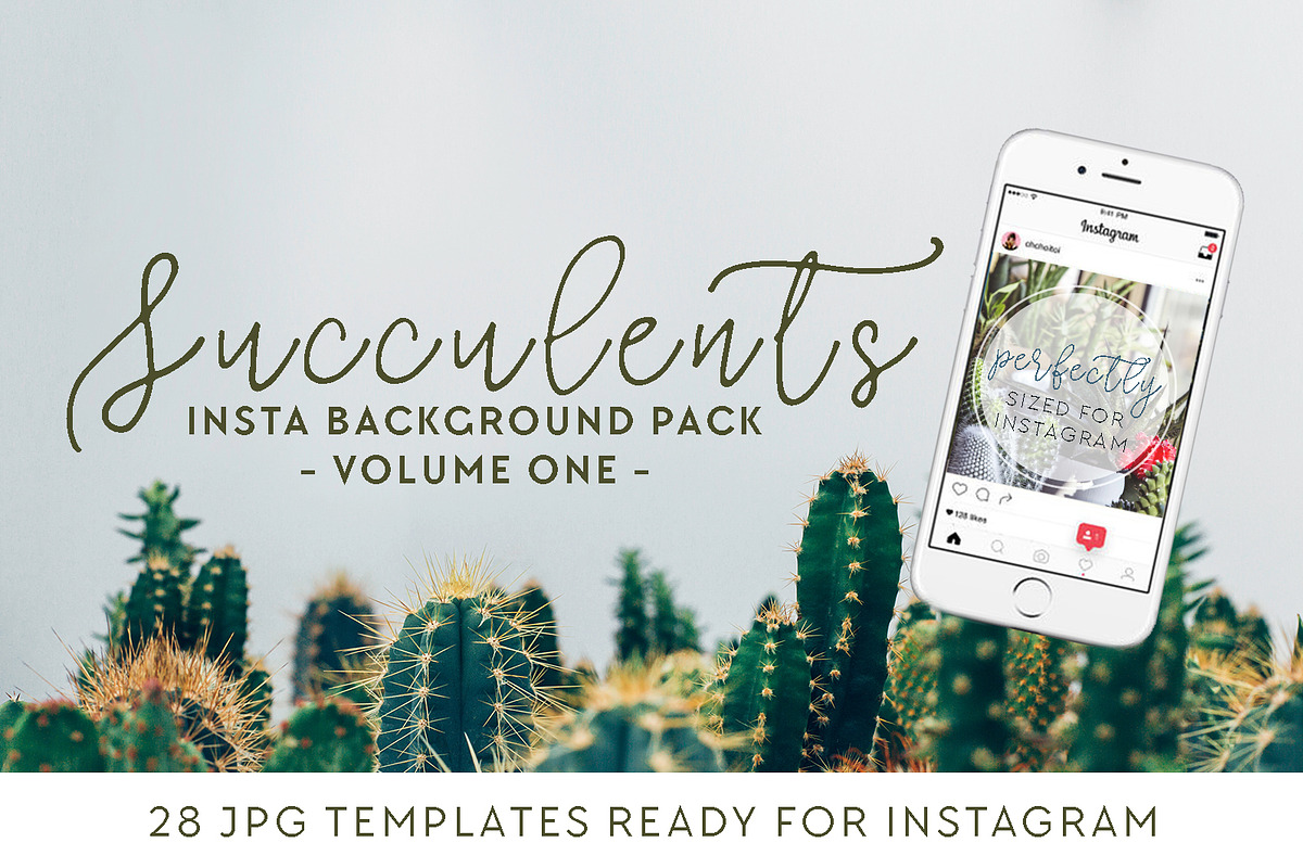 Succulents Insta Pack [volume one] in Instagram Templates - product preview 8