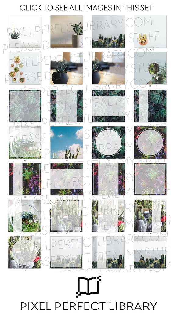 Succulents Insta Pack [volume one] in Instagram Templates - product preview 1