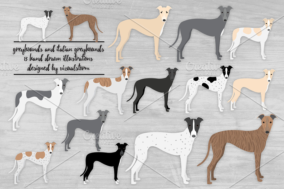 Greyhound & Italian Greyhound Dogs in Illustrations - product preview 8
