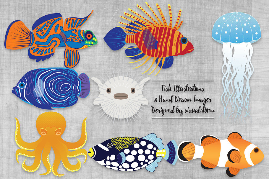 Salt Water Fish Illustrations