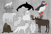Arctic Animal Illustrations