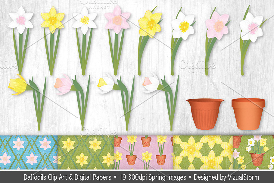 Daffodil Illustrations and Patterns