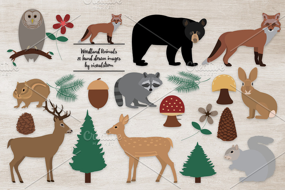 Woodland Animal Illustrations in Illustrations - product preview 8