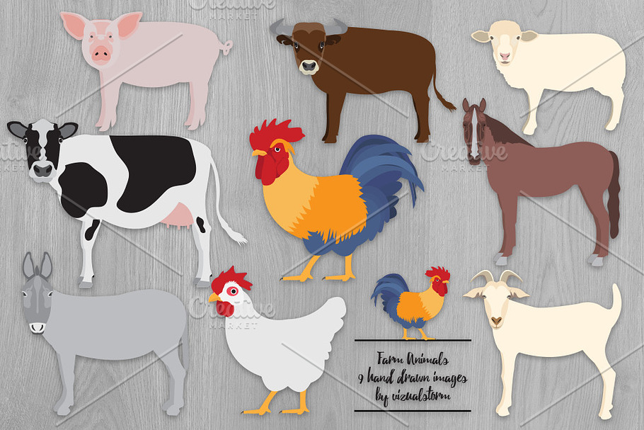Farm Animal Illustrations