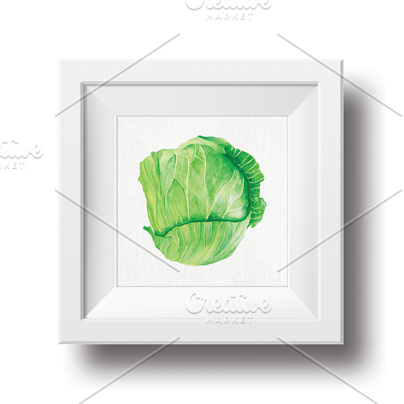 Vegetables Watercolor Illustration in Illustrations - product preview 6
