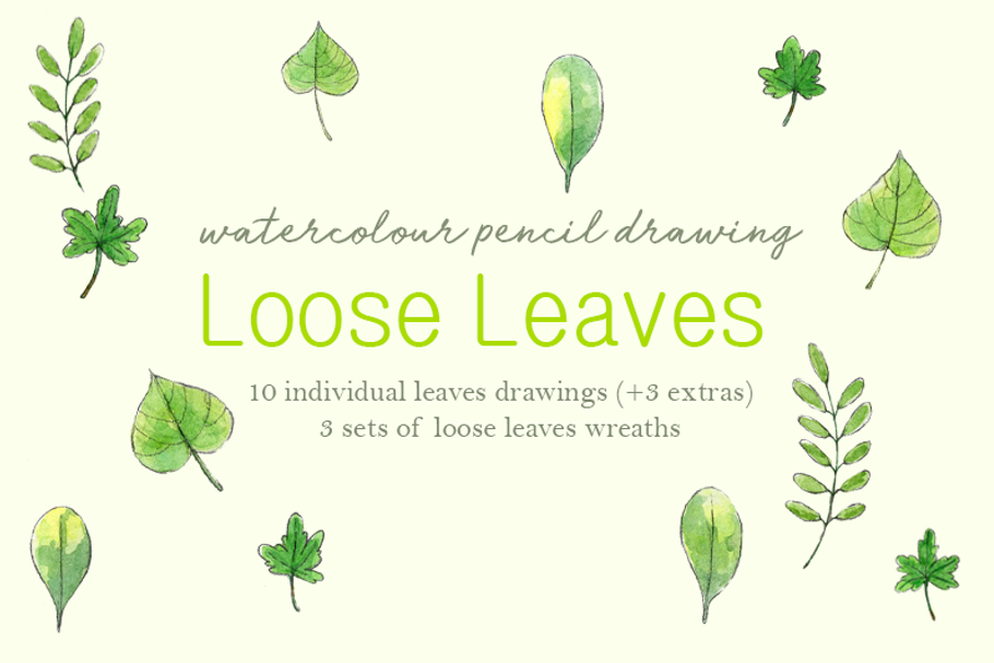 Loose Leaves Drawings Set