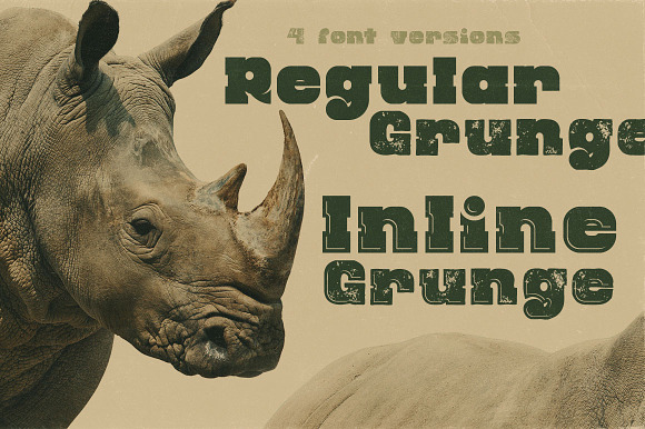 Rhino - Display Font in Display Fonts - product preview 1