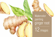 Watercolor ginger root