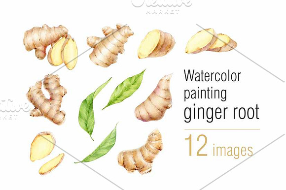 Watercolor ginger root in Illustrations - product preview 1