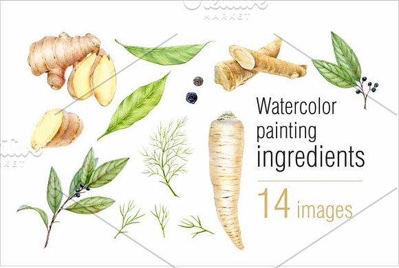 Watercolor ingredients in Illustrations - product preview 1