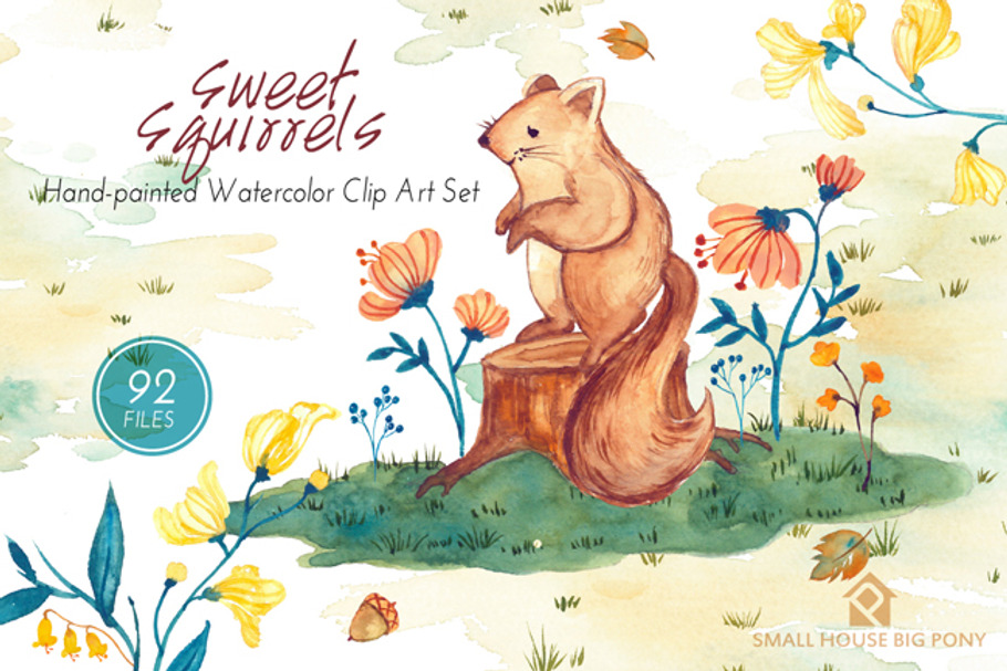 Sweet Squirrels -Huge Watercolor Set