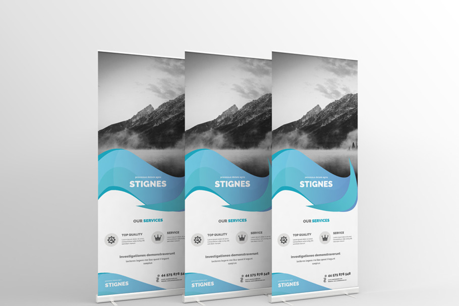 Business Roll Up Banner Template