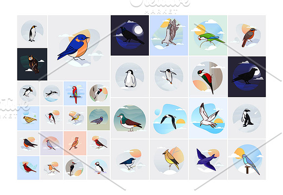 35 Bird Illustration Stock in Illustrations - product preview 2