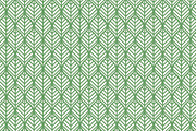 Graphic Leaf Pattern