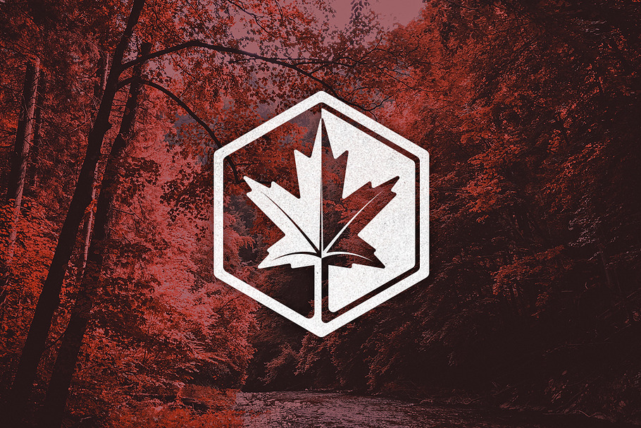 Maple Leaf Logo in Logo Templates - product preview 8