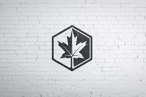 Maple Leaf Logo in Logo Templates - product preview 4