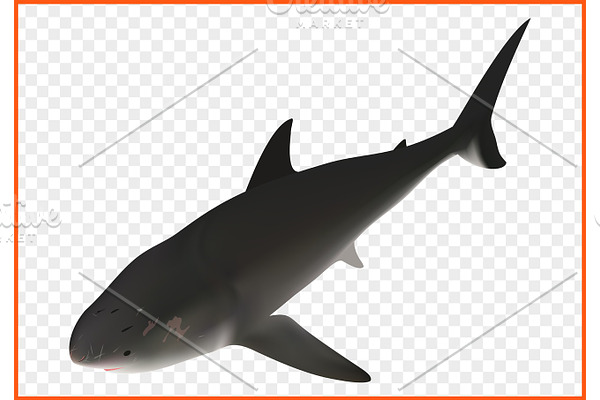 shark isometric vector